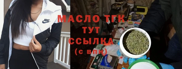дмт Переславль-Залесский