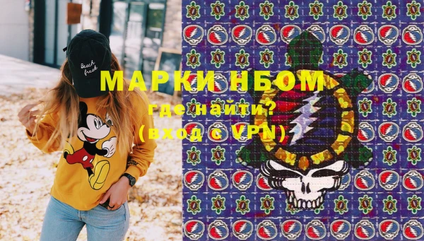 молекула духа Алексеевка